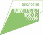 Нижегородская область вошла в число регионов-лидеров по уровню обеспеченности контейнерами для ТКО